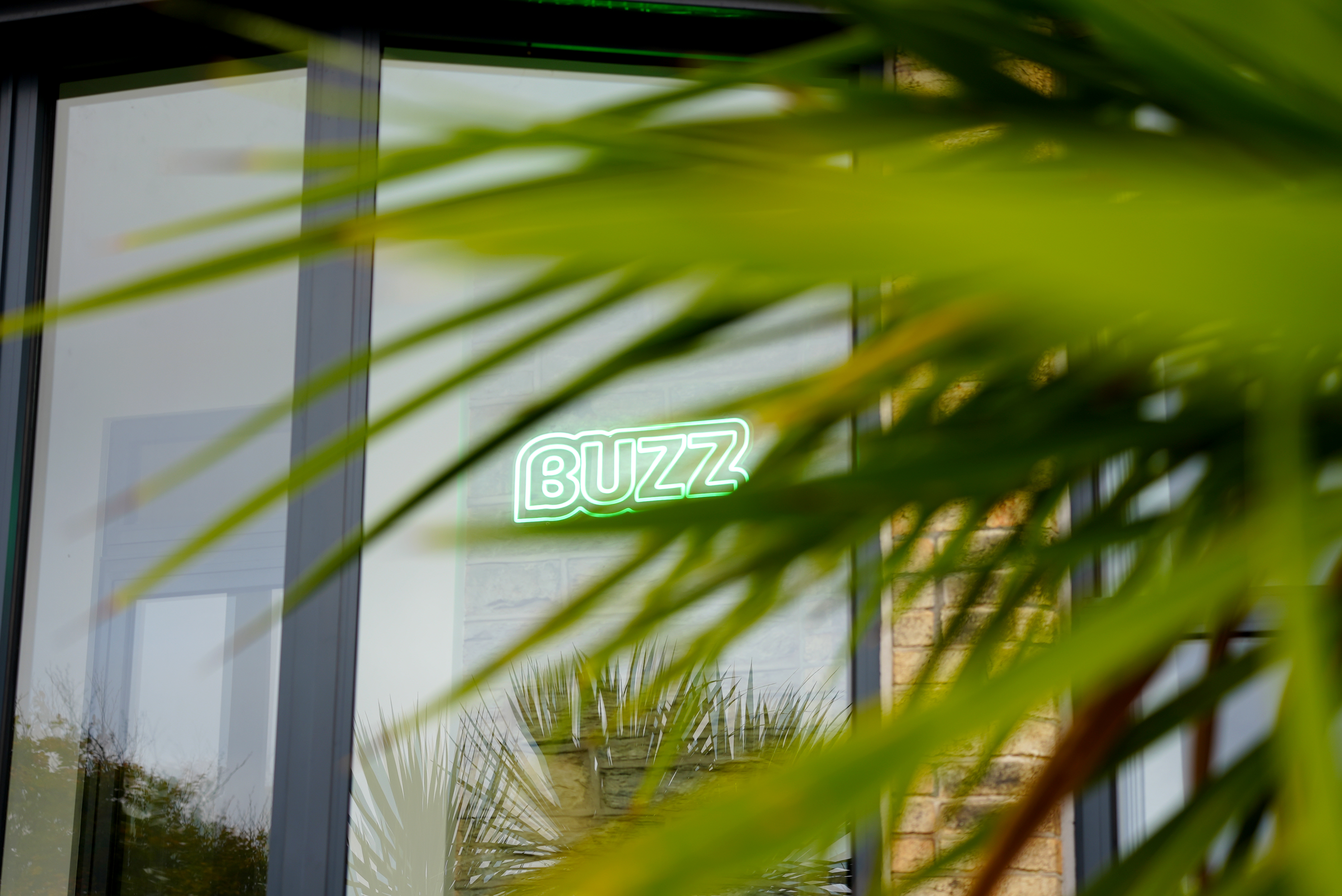 Join the Buzz Interactive team