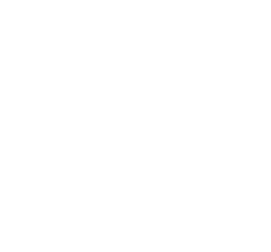 The Rock Pool Project